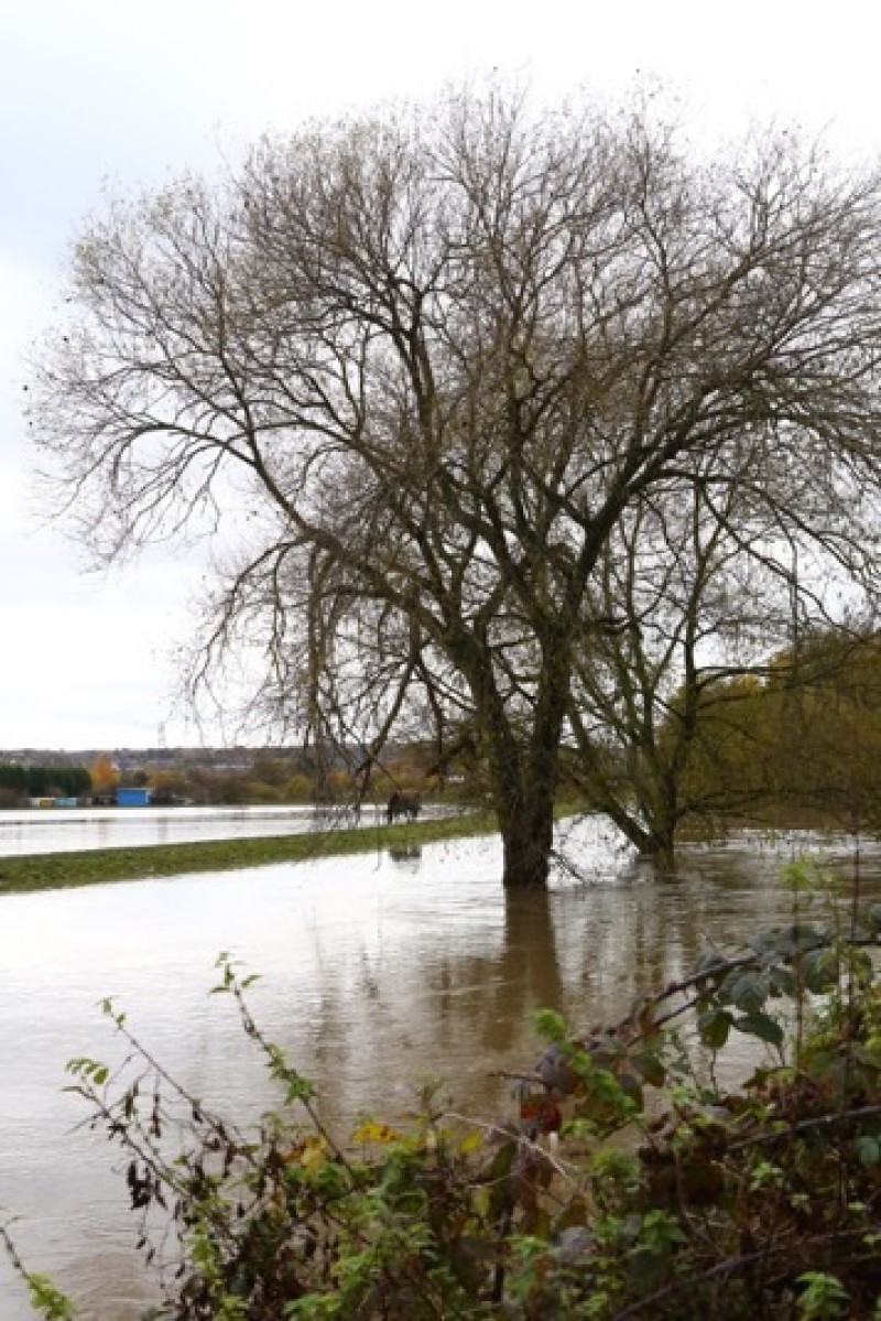 Other image for ‘Every single time it rains we start to feel panicky’